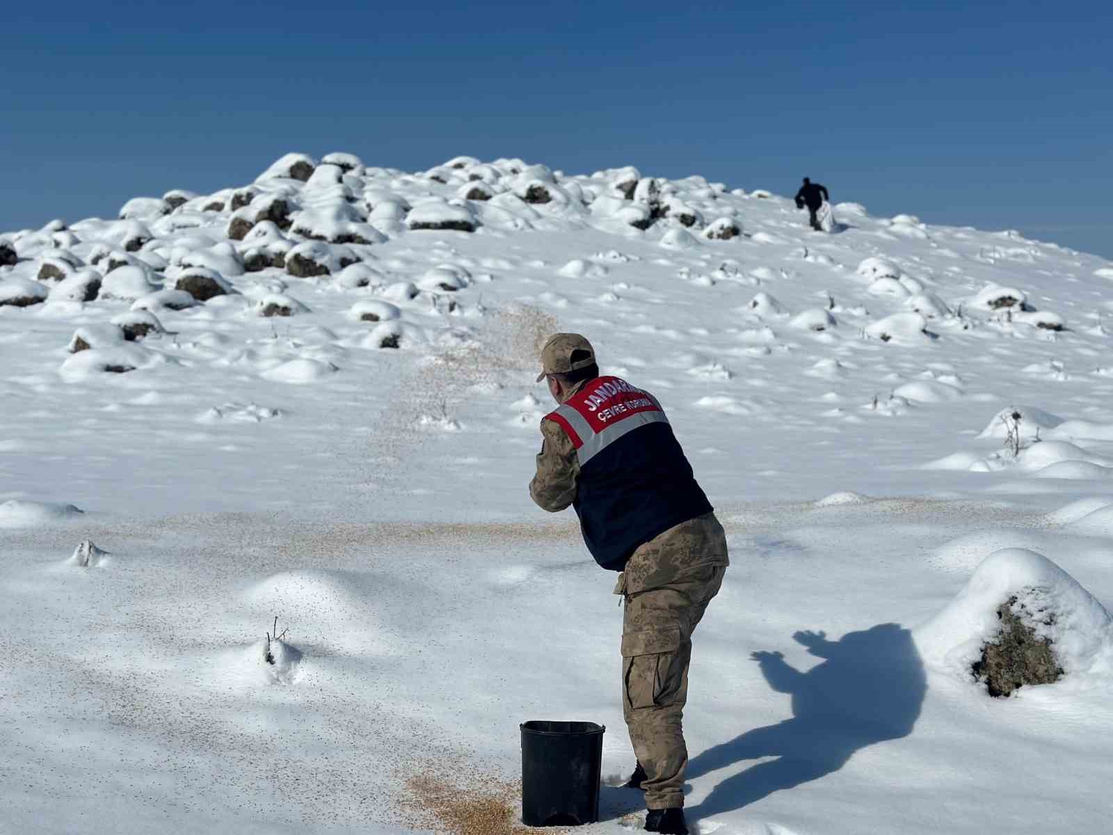 Bitlis İl Jandarma Komutanlığı