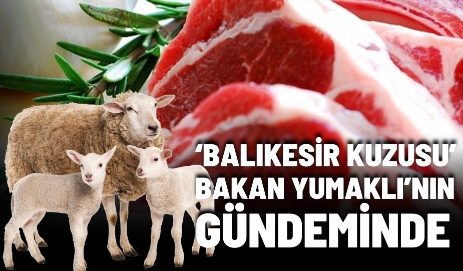 ‘BALIKESİR KUZUSU’ BAKAN YUMAKLI’NIN GÜNDEMİNDE