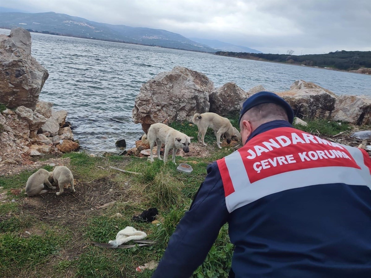 Balıkesir İl Jandarma Komutanlığı