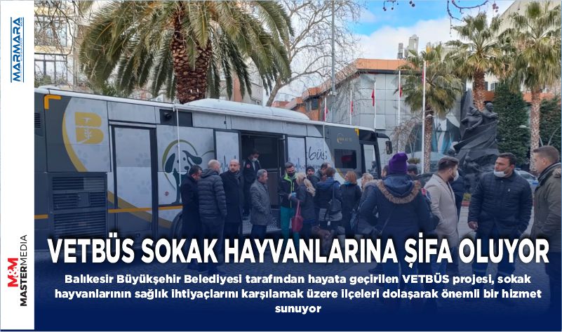 VETBÜS SOKAK HAYVANLARINA ŞİFA OLUYOR