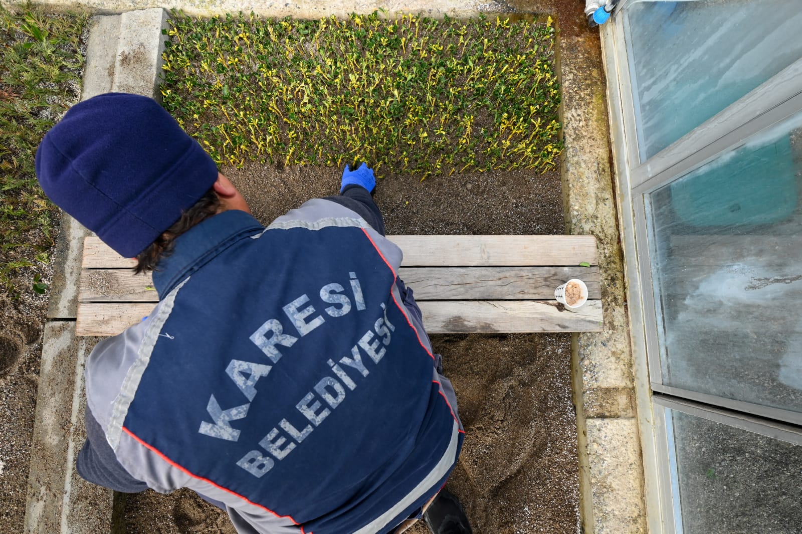 Karesi Belediyesi Kendi Ciceklerini Uretiyor 9 - Marmara Bölge: Balıkesir Son Dakika Haberleri ile Hava Durumu