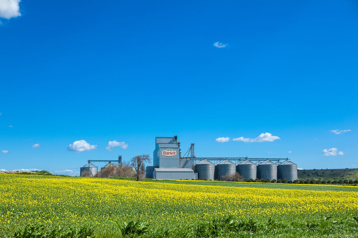 1711112625 FeedMill BanvitBRF - Marmara Bölge: Balıkesir Son Dakika Haberleri ile Hava Durumu