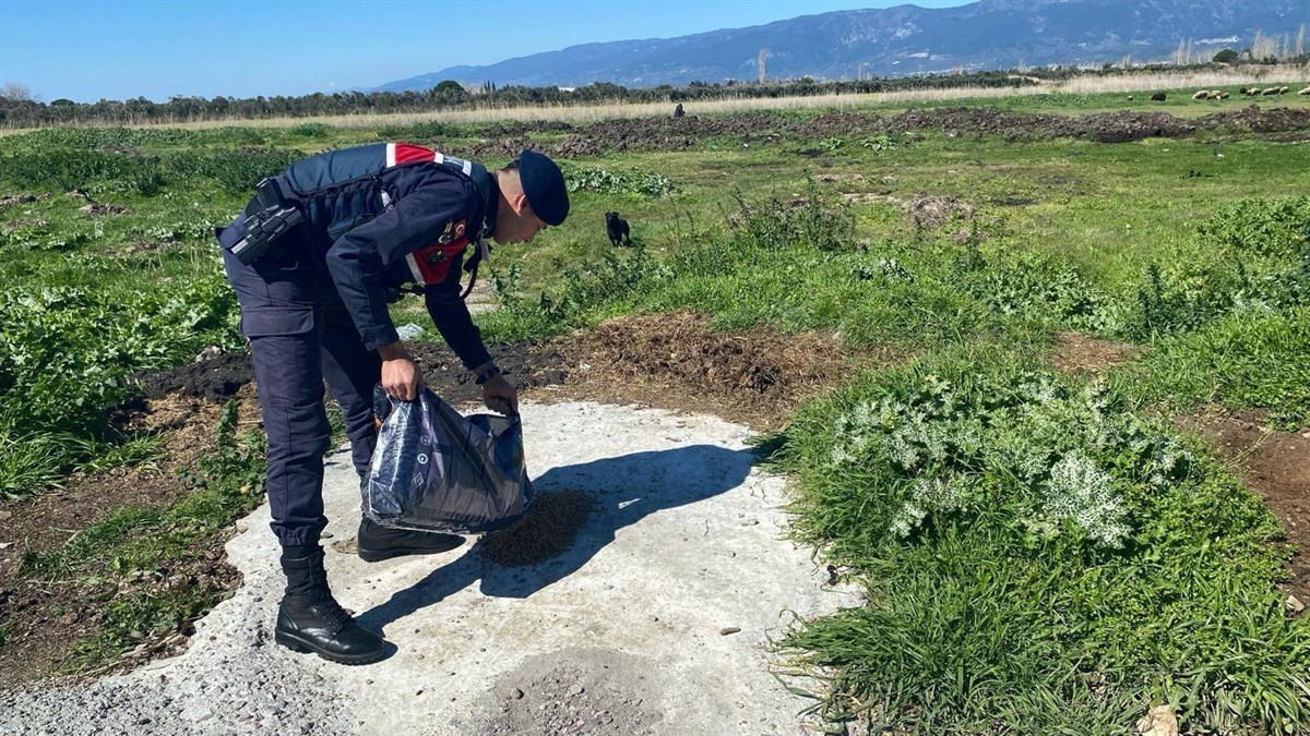 5 4 - Marmara Bölge: Balıkesir Son Dakika Haberleri ile Hava Durumu