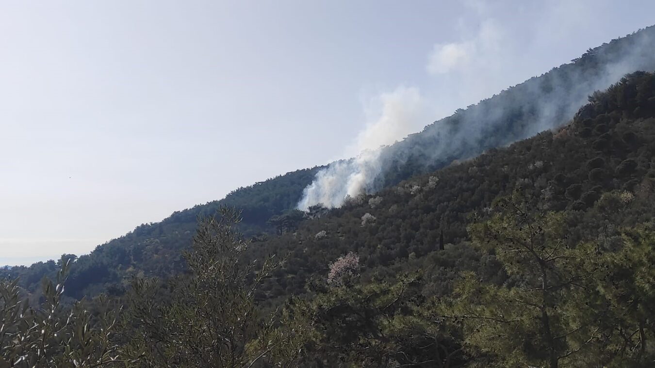 Edremit'in Kazdağları eteklerinde bulunan