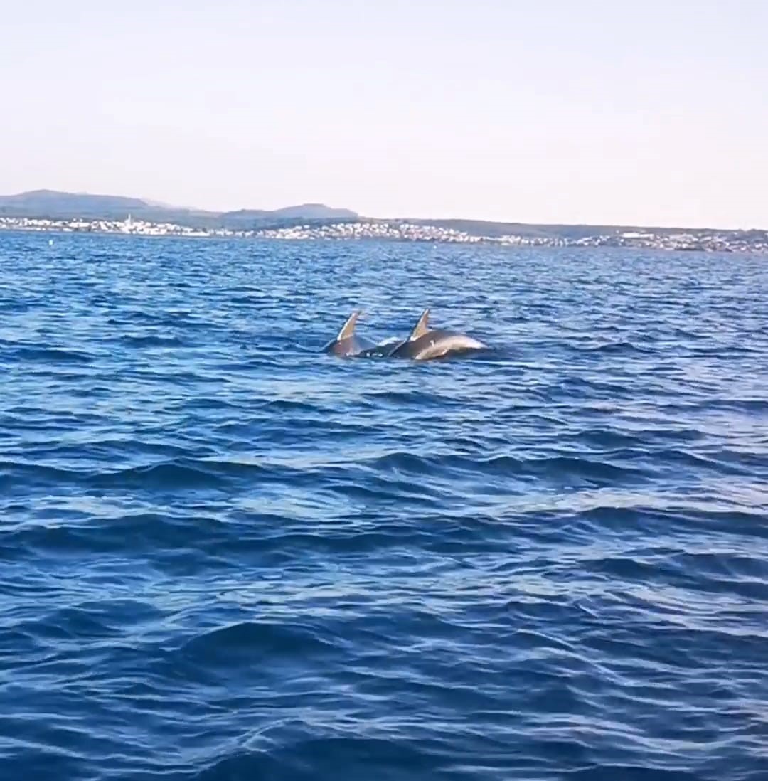 YUNUSLAR AYVALIK’I MESKEN TUTTU