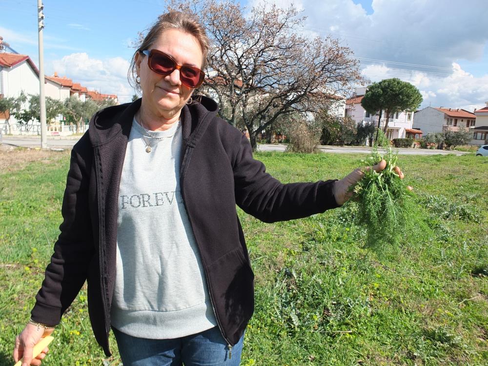 BALIKESİR’DE OT FESTİVALİ DÜZENLENMESİ İSTEDİLER