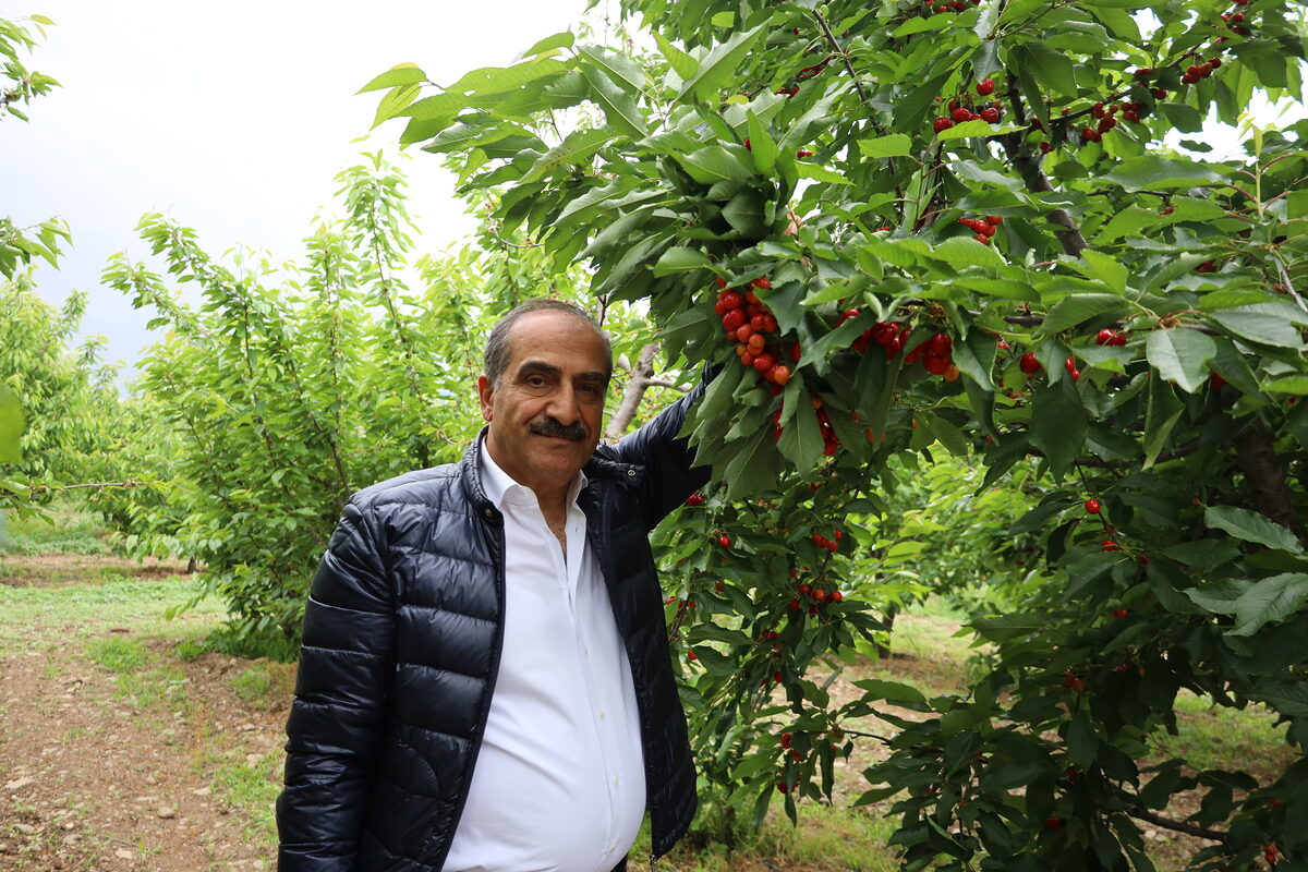 1715450356 HAYRETTIN UCAK KIRAZ HASADI2JPG - Marmara Bölge: Balıkesir Son Dakika Haberleri ile Hava Durumu