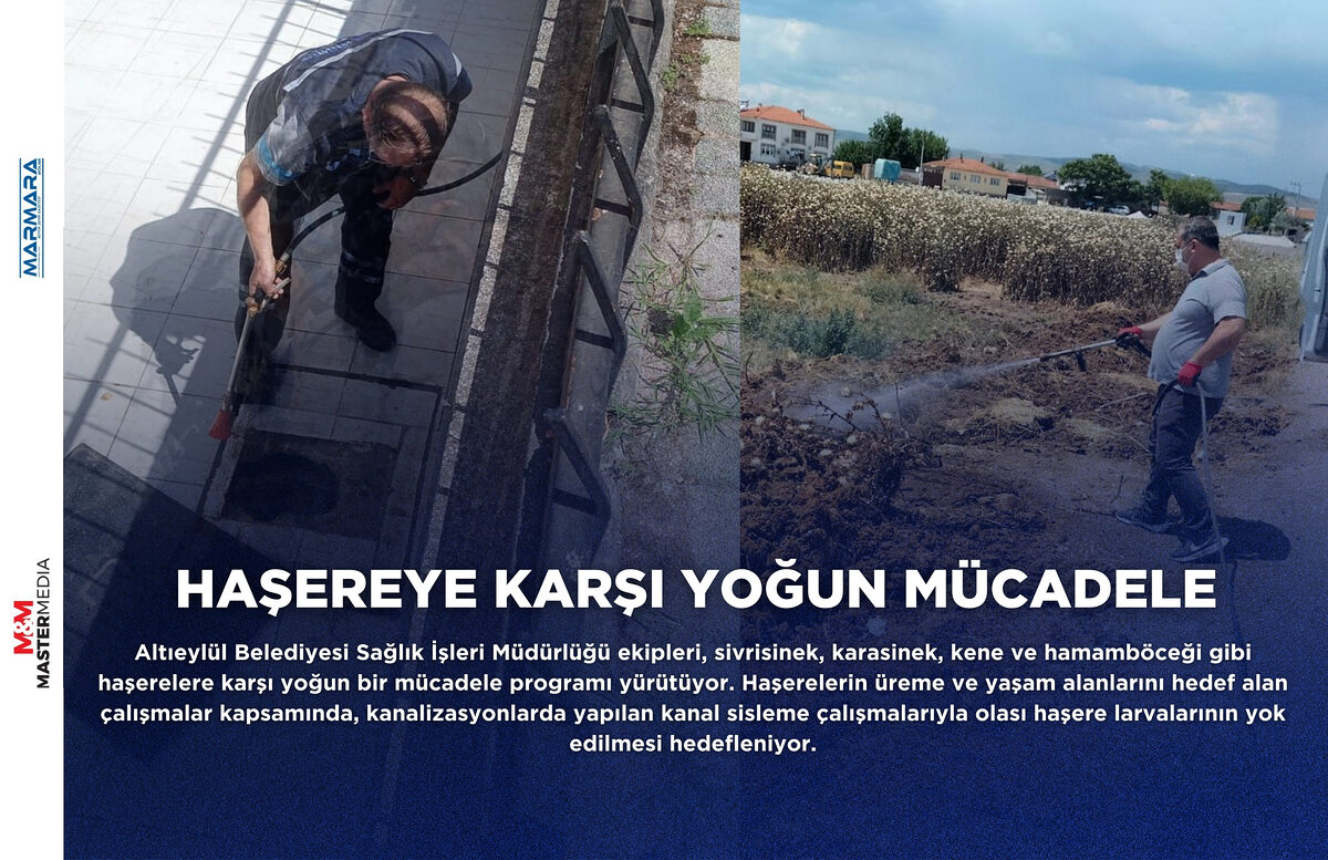 HAŞEREYE KARŞI YOĞUN MÜCADELE