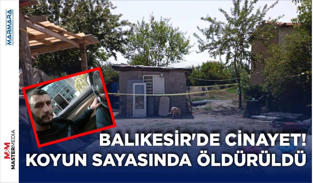 Balıkesir’in Edremit ilçesinde koyun