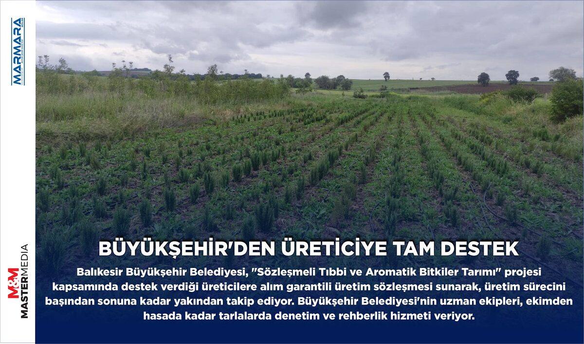 BÜYÜKŞEHİR’DEN ÜRETİCİYE TAM DESTEK