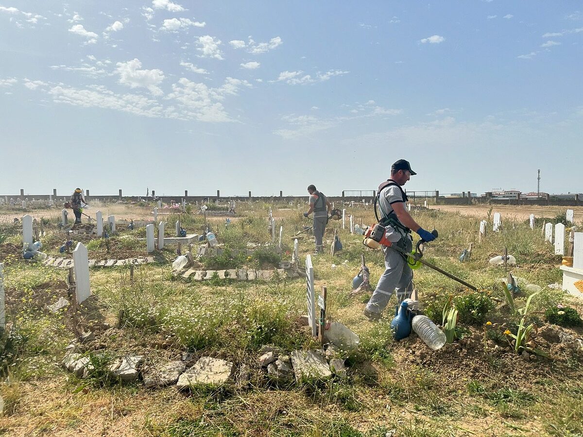 Bandırma Belediyesi Sağlık İşleri