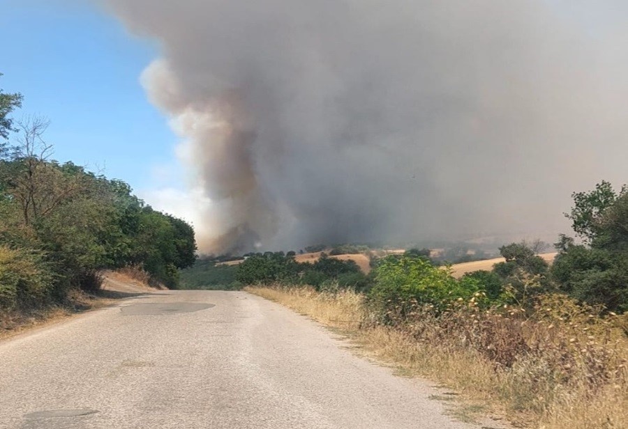 Marmara ve Ege Bölgesi'nde