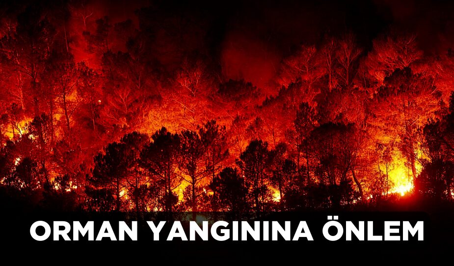Orman yangınları, hem ekosistemler