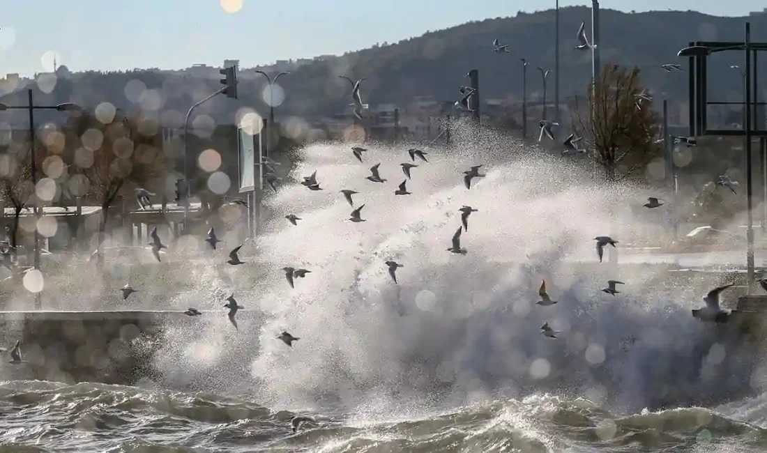 Meteoroloji Bölge Müdürlüğü tarafından