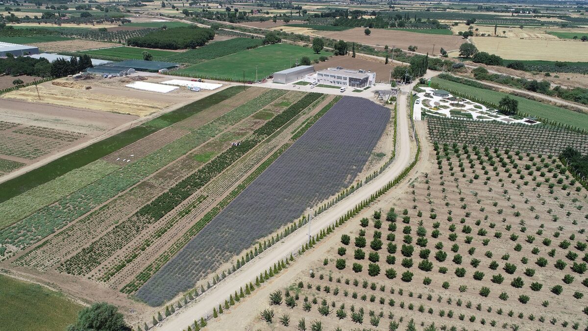 Balıkesir Büyükşehir Belediyesi’nin koordinasyonunda;