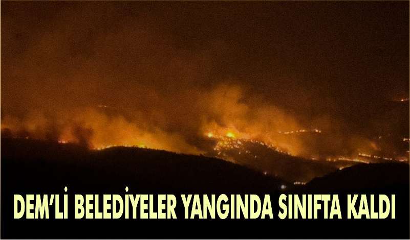 Mardin ve Diyarbakır’daki yangın