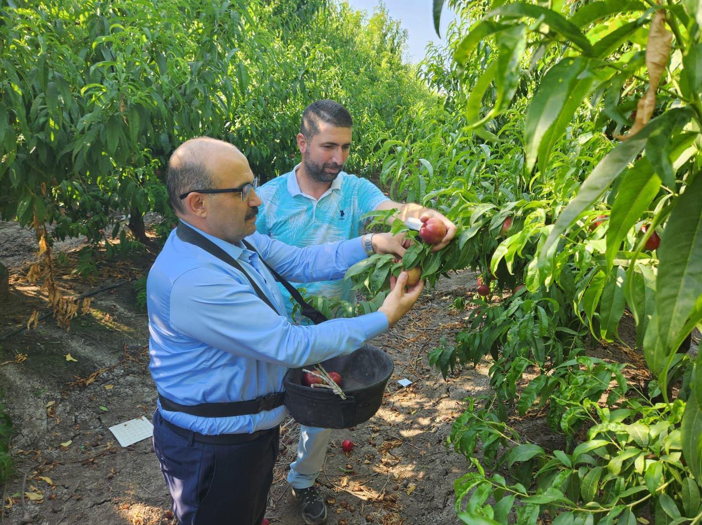 450256575 874228084740242 1198584621802553841 n - Marmara Bölge: Balıkesir Son Dakika Haberleri ile Hava Durumu