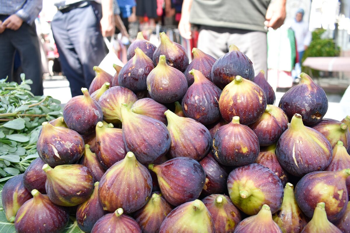 451986525 805370188447066 5001361966583551146 n - Marmara Bölge: Balıkesir Son Dakika Haberleri ile Hava Durumu