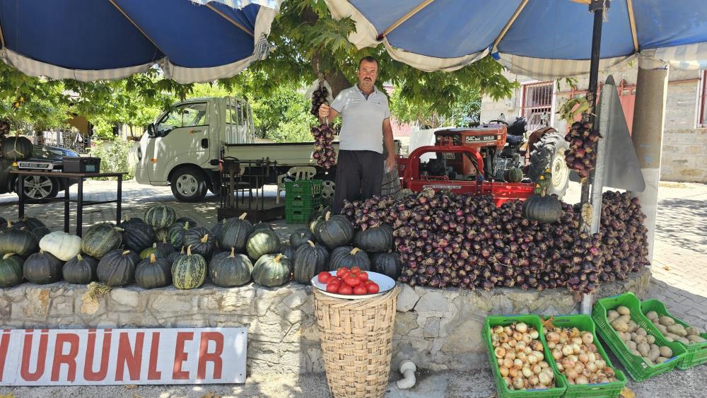 Balıkesir'in Erdek İlçesinde, Coğrafi