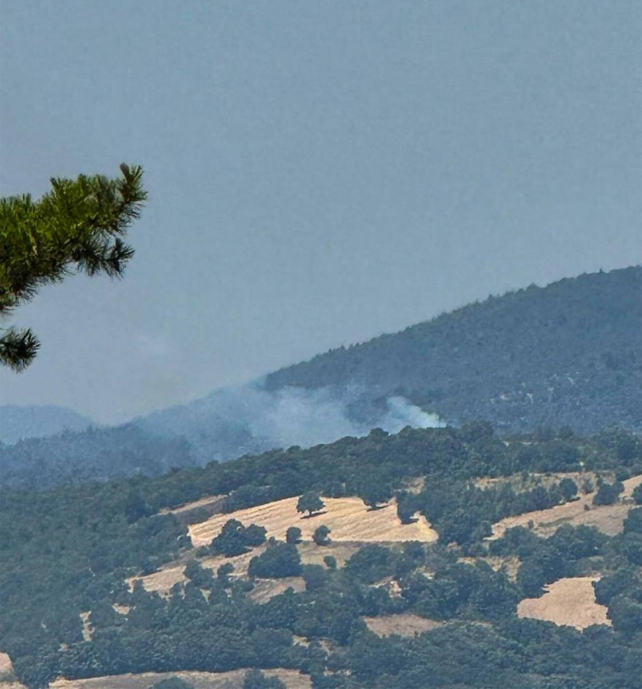 DURSUNBEY’DE ARAZİDE ÇIKAN YANGIN ORMANA SIÇRADI