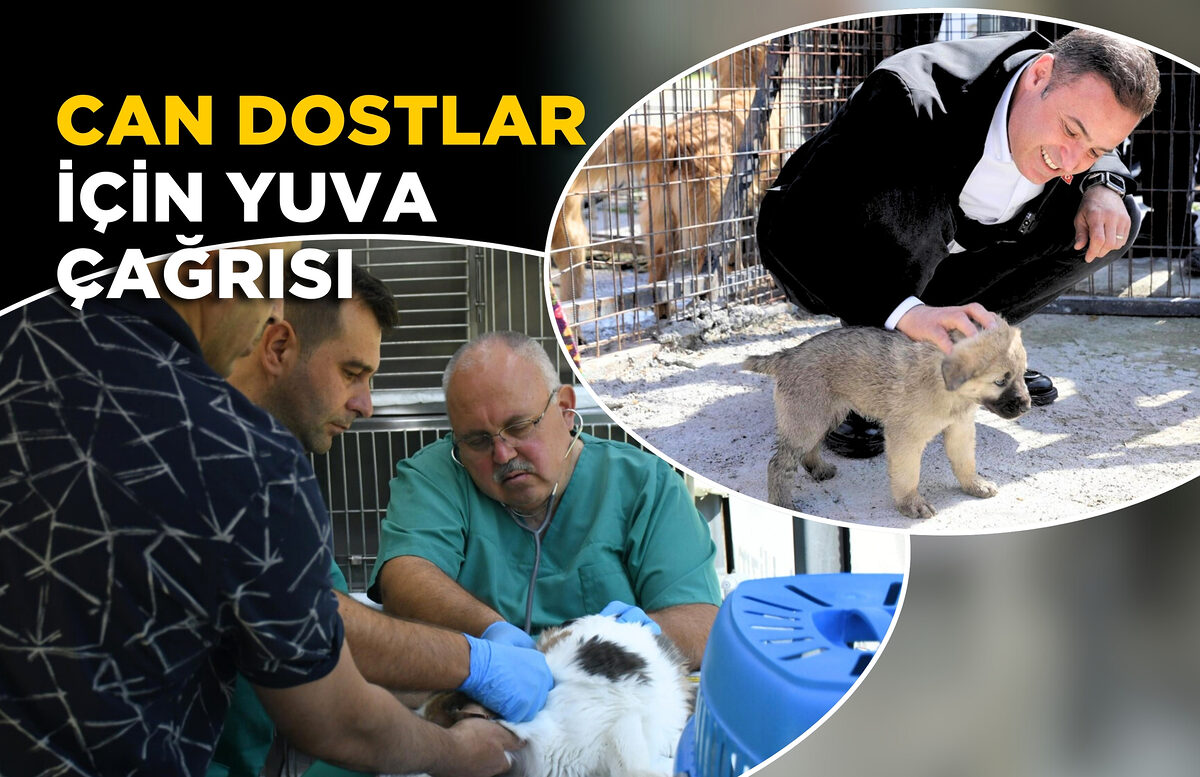 CAN DOSTLAR İÇİN YUVA ÇAĞRISI