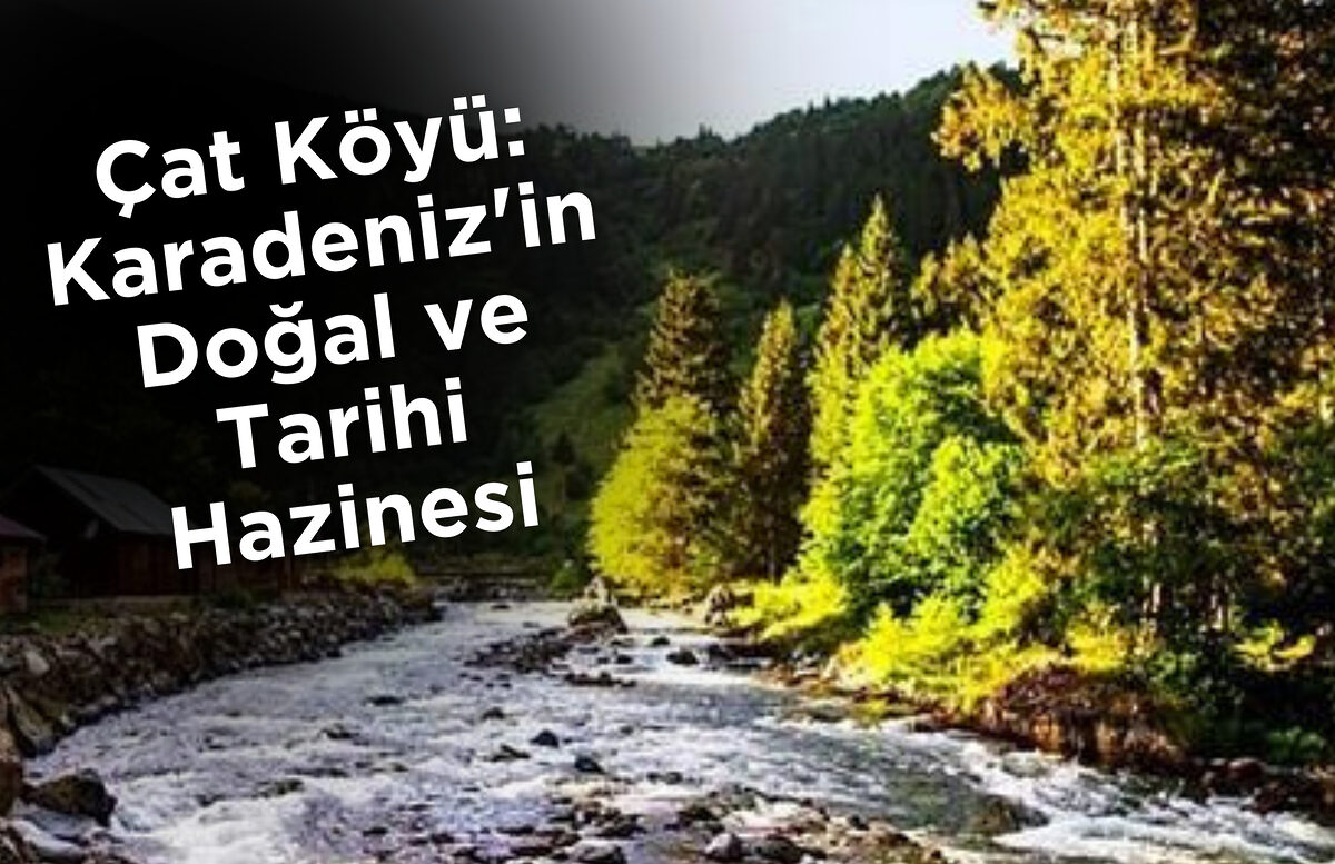 Çat Köyü: Karadeniz’in Doğal ve Tarihi Hazinesi