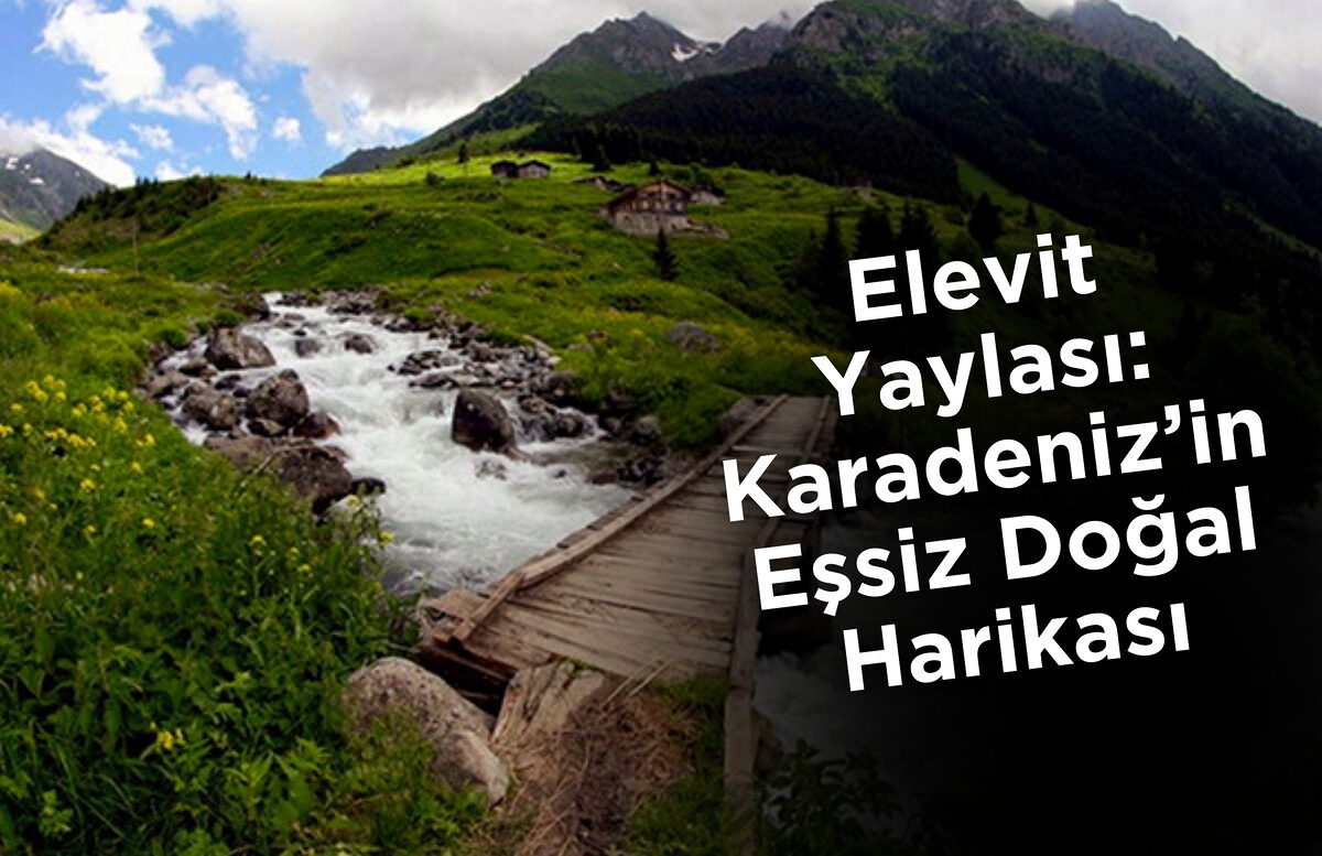 Elevit Yaylası: Karadeniz’in Eşsiz Doğal Harikası