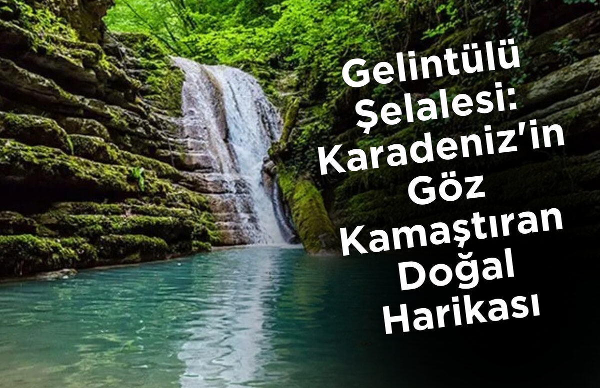 Gelintülü Şelalesi: Karadeniz’in Göz Kamaştıran Doğal Harikası