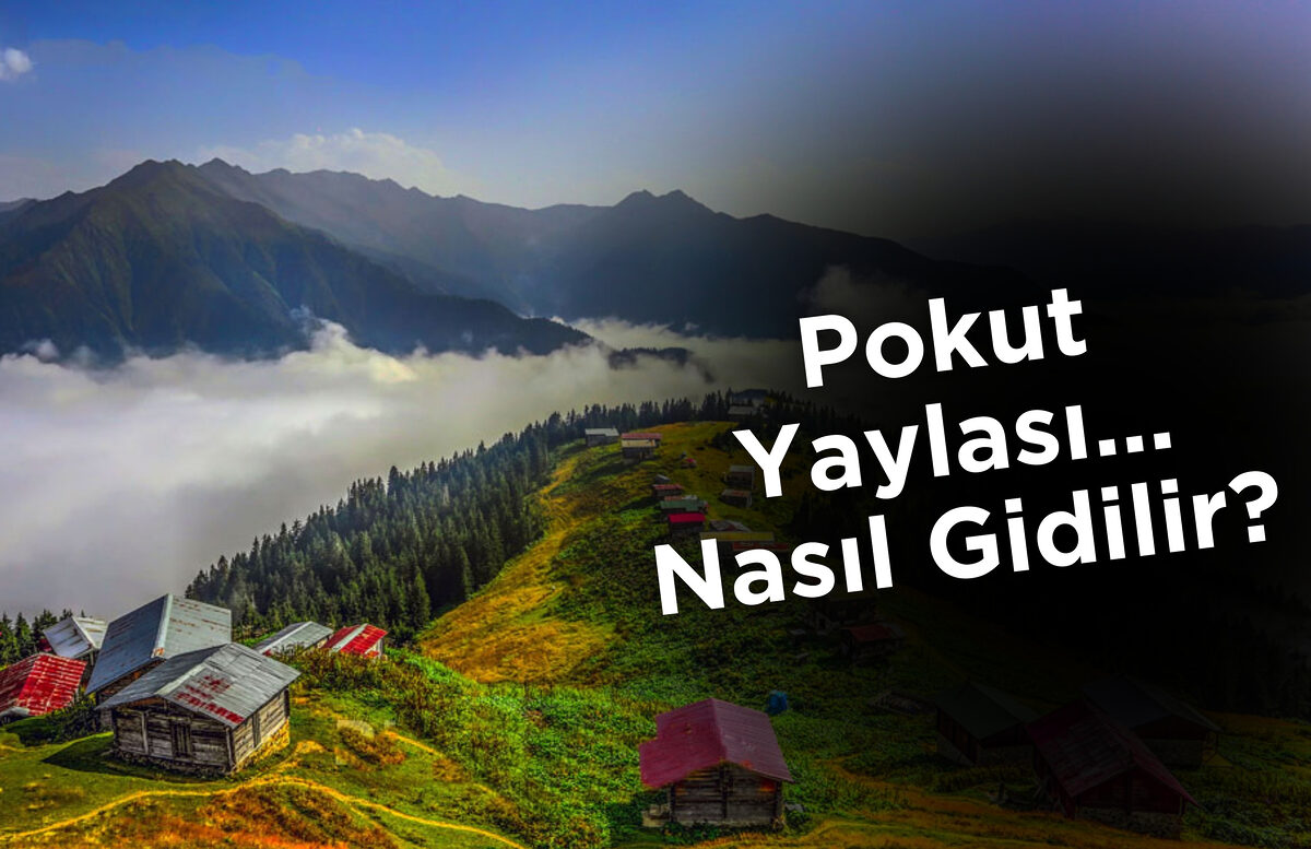 Pokut Yaylası, Rize’nin Çamlıhemşin