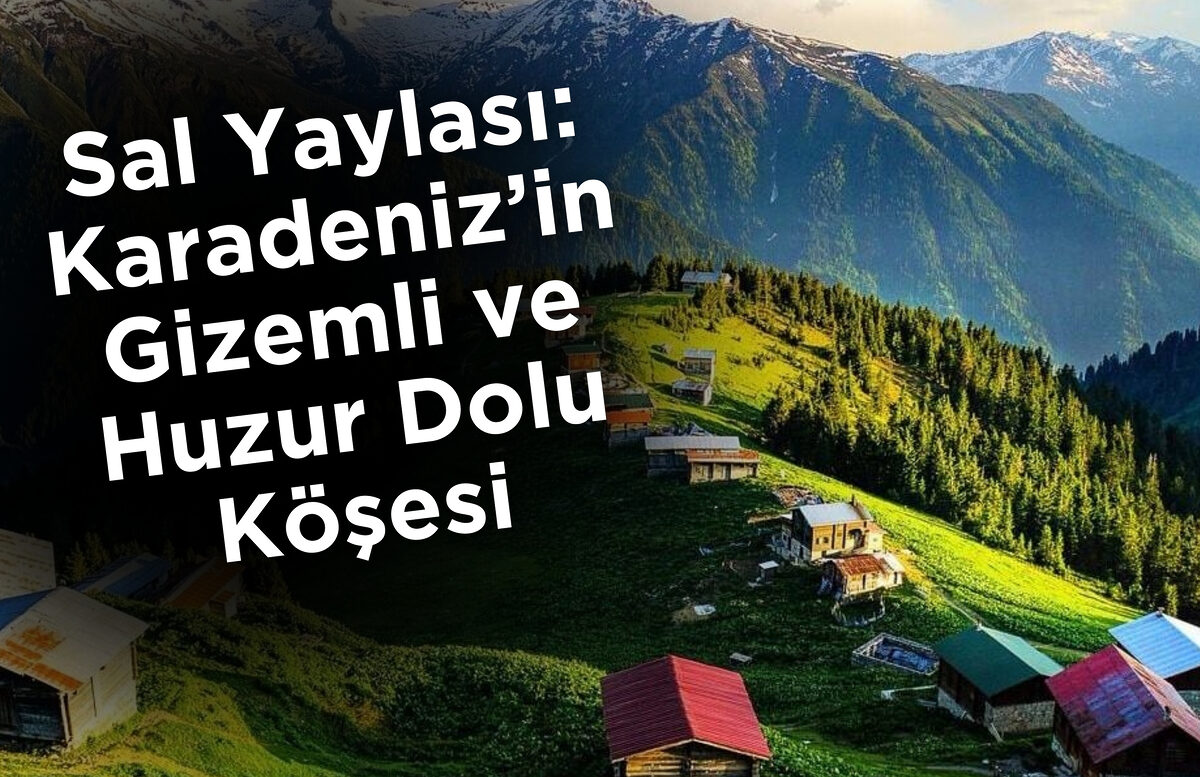 Sal Yaylası: Karadeniz’in Gizemli ve Huzur Dolu Köşesi