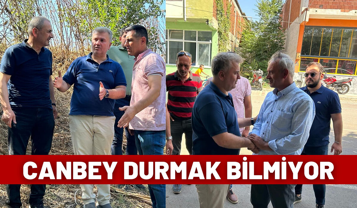 AK Parti Balıkesir Milletvekili