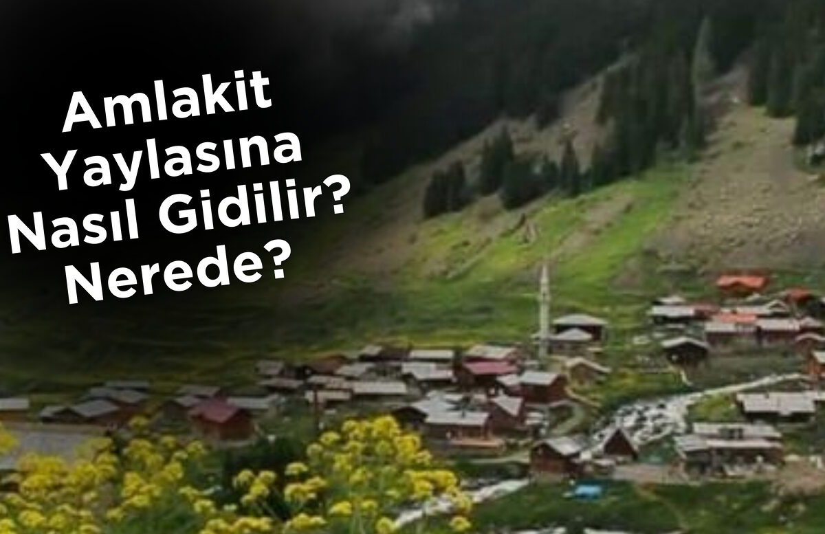 Amlakit Yaylasına Nasıl Gidilir? Nerede?