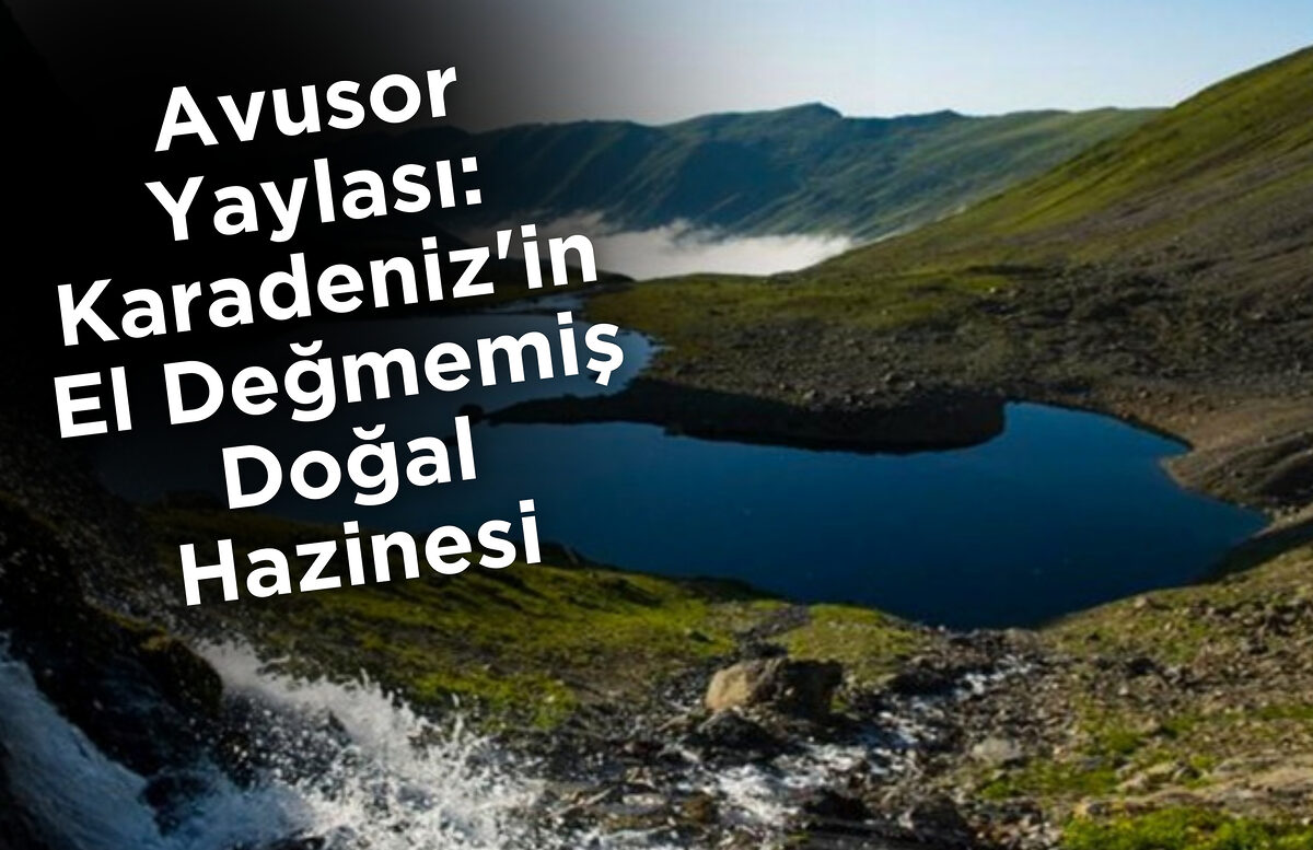 Avusor Yaylası: Karadeniz’in El Değmemiş Doğal Hazinesi