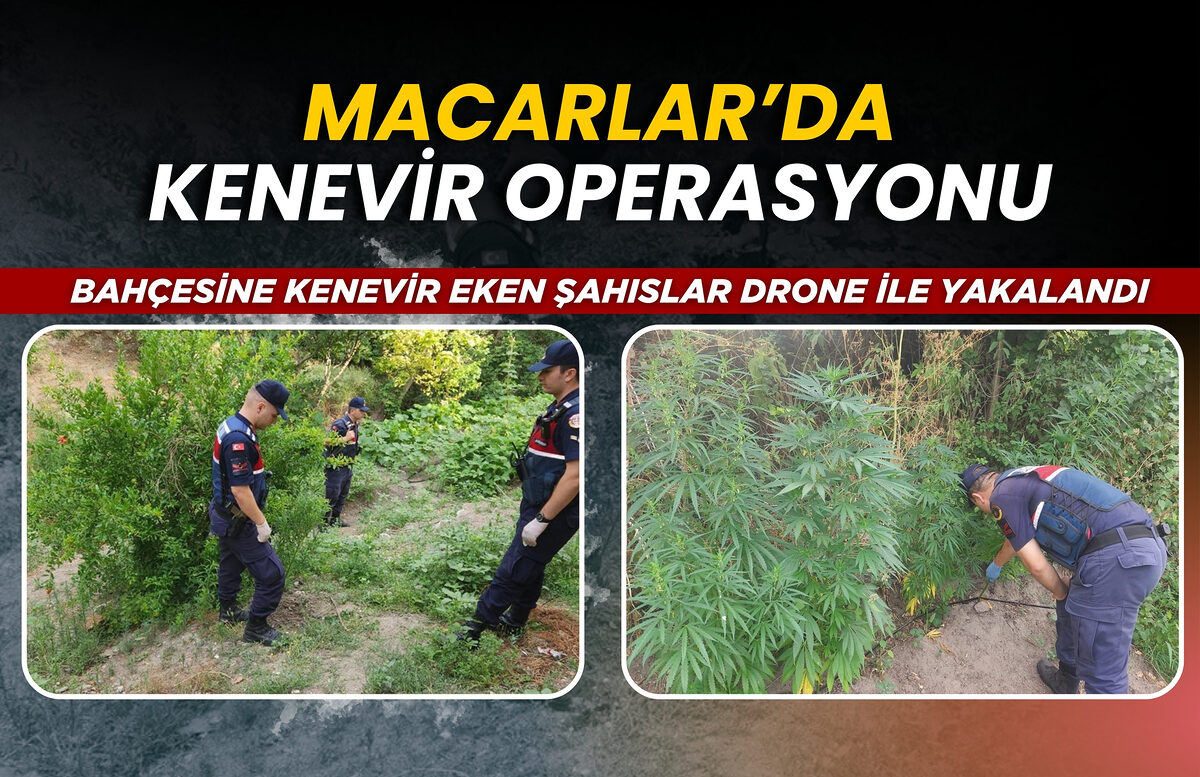 BAHÇESİNE KENEVİR EKEN ŞAHISLAR DRONE İLE YAKALANDI