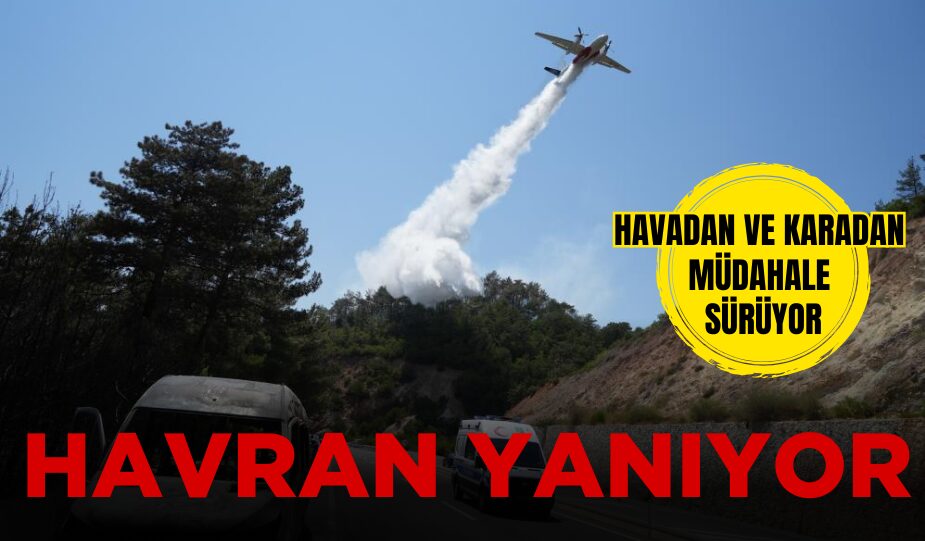 HAVRAN’DAKİ ORMAN YANGININA HAVADAN VE KARADAN MÜDAHALE SÜRÜYOR