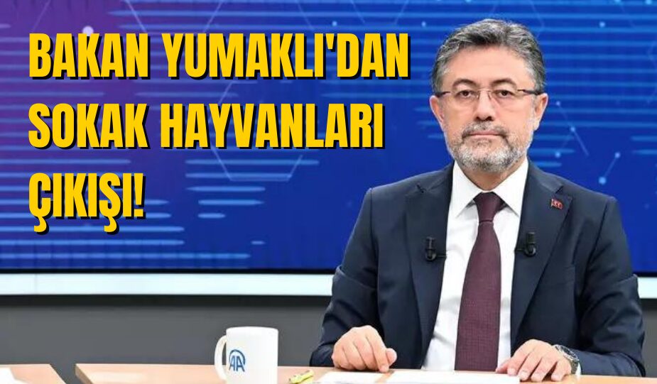 BAKAN YUMAKLI’DAN SOKAK HAYVANLARI ÇIKIŞI!