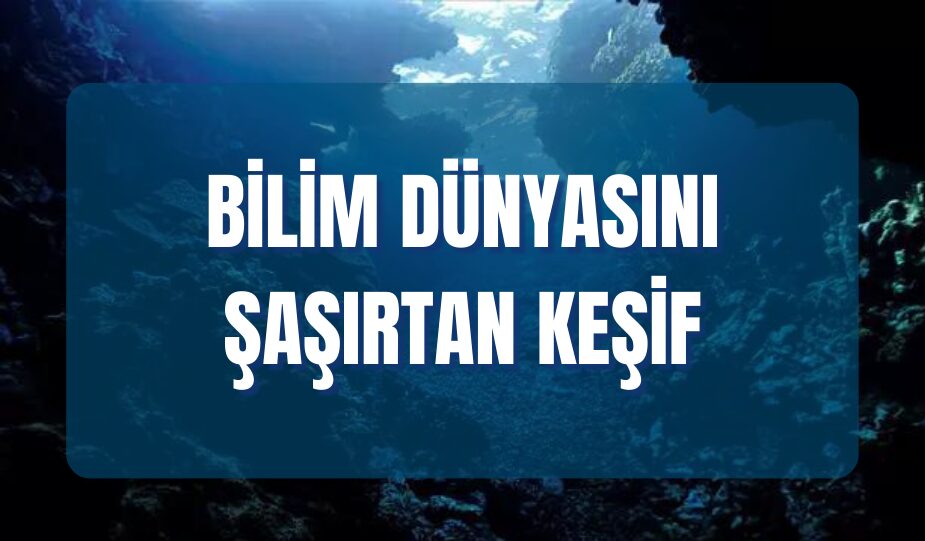 Bilim insanları, deniz tabanında