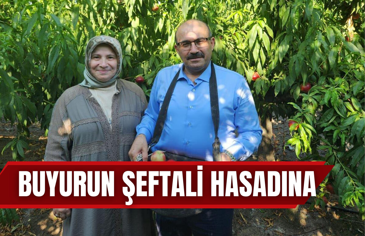 BUYURUN ŞEFTALİ HASADINA