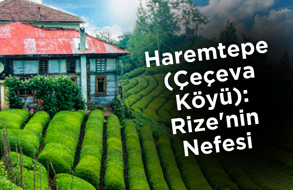 Haremtepe (Çeçeva Köyü): Rize’nin Nefesi