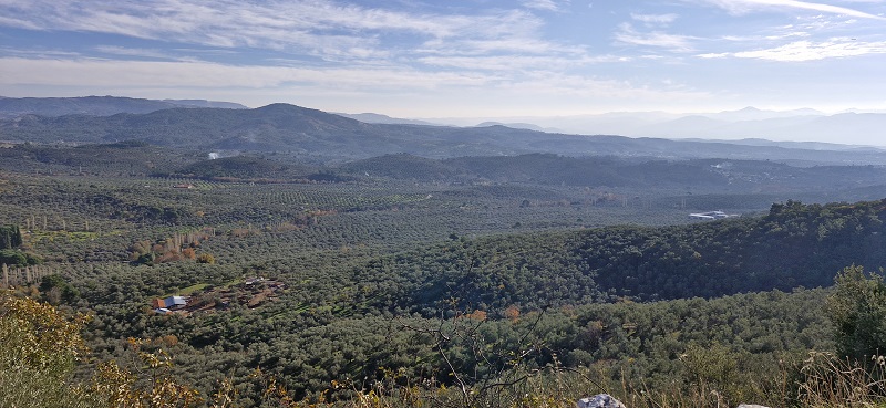 Kuzey Ege foto by Sena Diren k - Marmara Bölge: Balıkesir Son Dakika Haberleri ile Hava Durumu