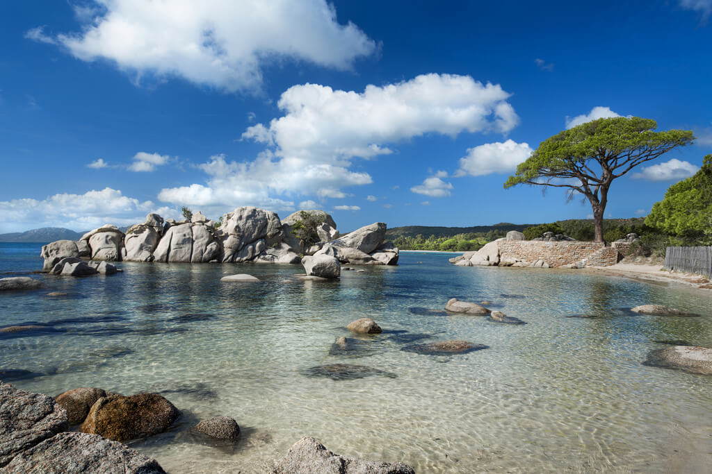 Plage de Palombaggia: Korsika’nın Büyüleyici Plajı