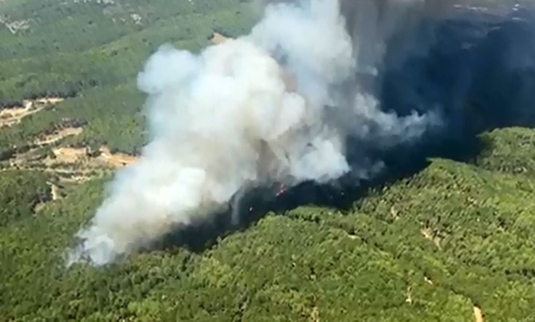 MUĞLA’DA EŞ ZAMANLI ORMAN YANGINI