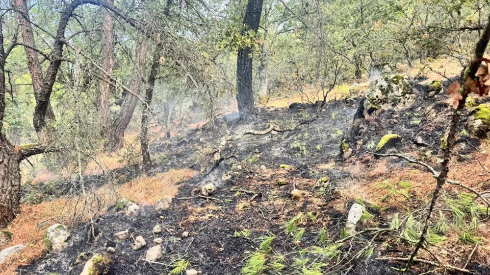 YILDIRIM KAYNAKLI ORMAN YANGININA, HAVADAN VE KARADAN MÜDAHALE