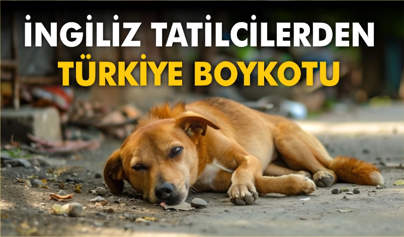 İNGİLİZ TATİLCİLERDEN TÜRKİYE BOYKOTU