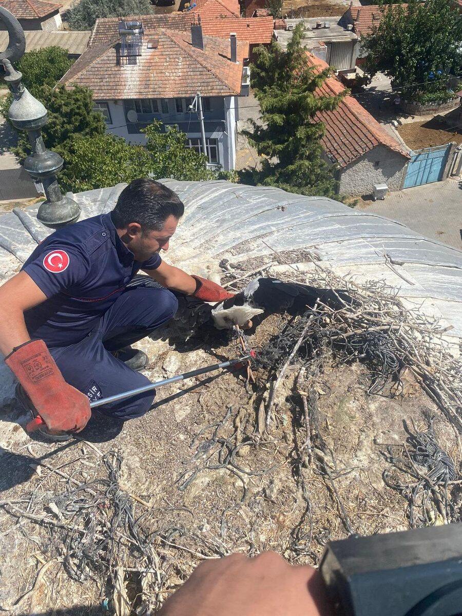 Kavaklı Mahallesi’nde Yaralı Leylek Kurtarıldı