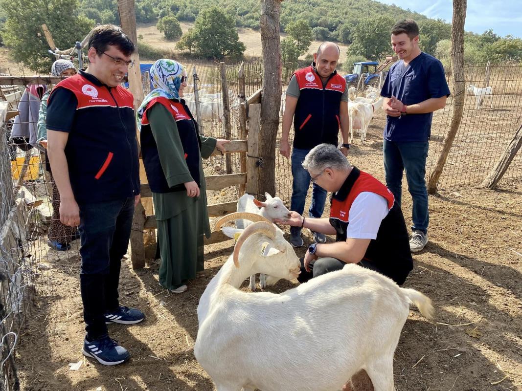 Balıkesir'in Balya ilçesinde Tarım