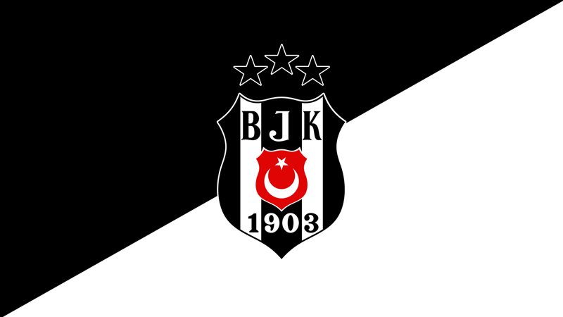 Beşiktaş Denetim Kurulu Üyesi