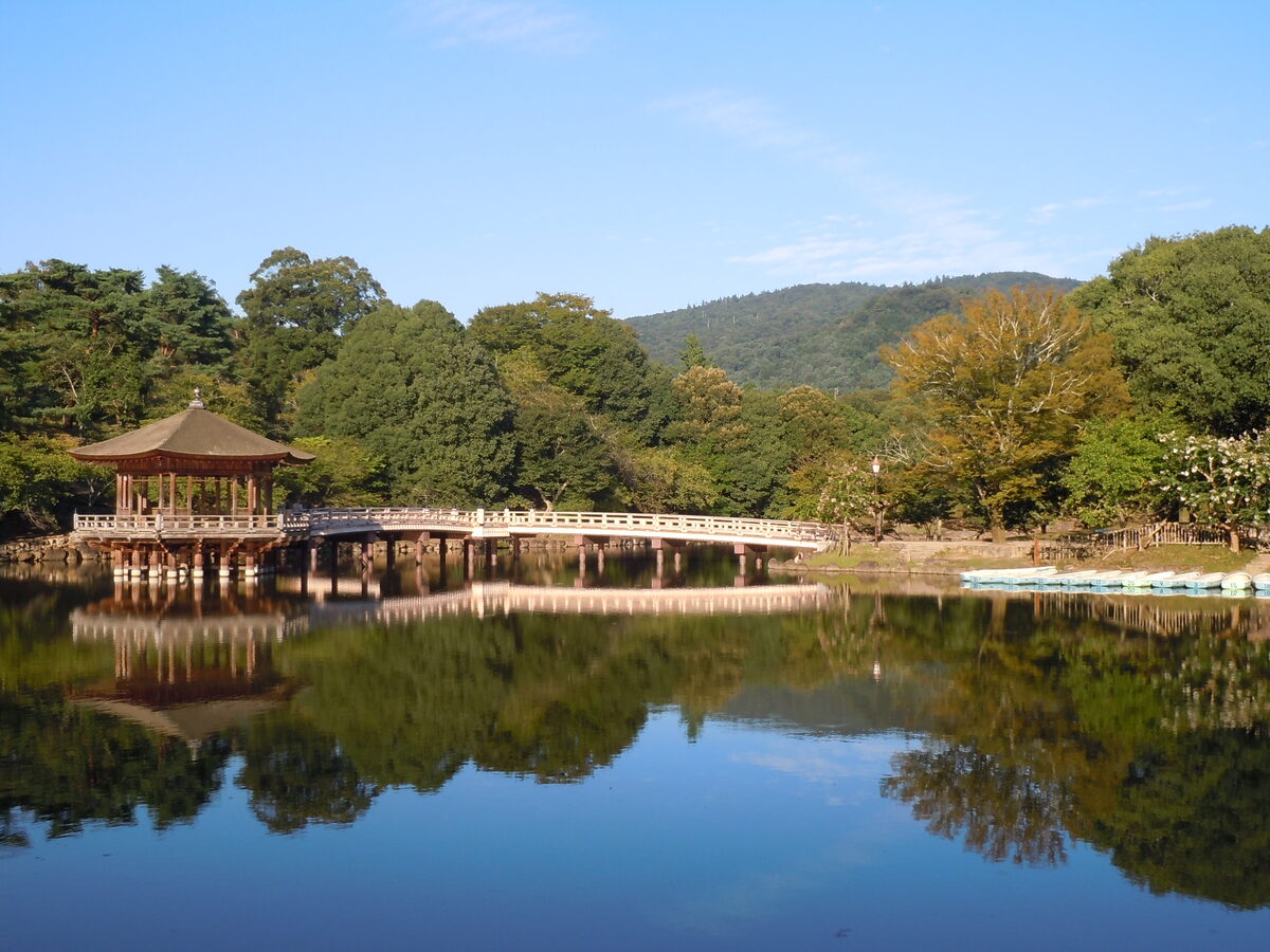 Japonya’nın Nara şehrinde yer