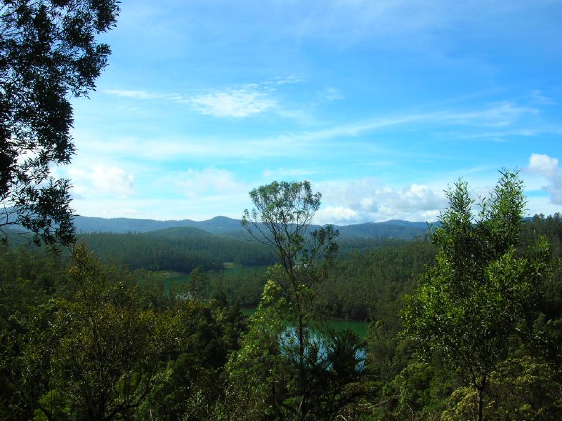 Nilgiri Dağları, Hindistan'ın güneyinde