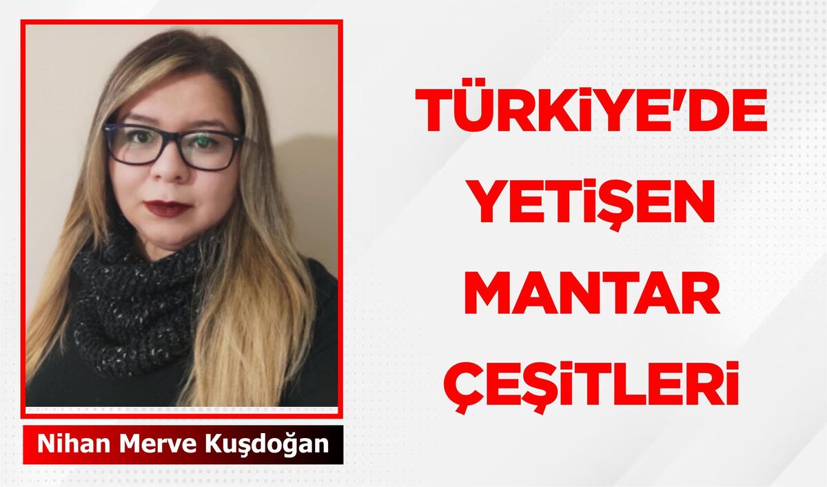 TÜRKİYE’DE YETİŞEN MANTAR ÇEŞİTLERİ